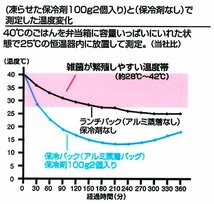 スケーター(Skater) 保冷バッグ付 ジャンボ 2段 弁当箱 1.3L MODE LINE モードライン KCPJW13-A_画像8