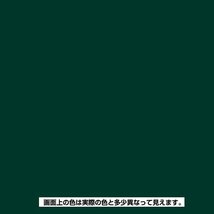 カンペハピオ 塗料 油性 つやあり・つやけし(ラッカー系) ダークグリーン 300ML 日本製 油性シリコンラッカー 005876444023_画像2