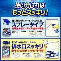 【大容量】強力カビハイター 風呂用洗剤 本体 1000ml_画像3