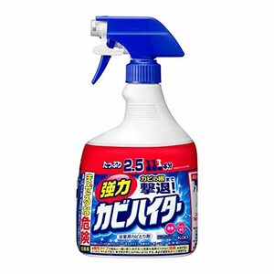 【大容量】強力カビハイター 風呂用洗剤 本体 1000ml