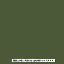 カンペハピオ 塗料 油性 つやあり・つやけし(ラッカー系) グリーンメタリック 300ML 日本製 油性シリコンラッカー 0058764437_画像2