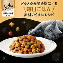 シーバ (Sheba) キャットフード ディライト 素材のうま味レシピ 室内猫用 640グラム (x 3) (まとめ買い)_画像4