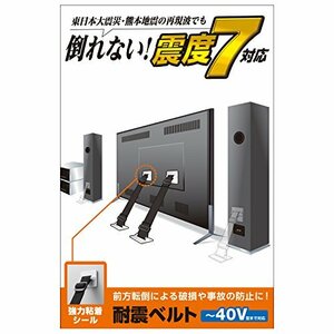 エレコム 耐震ベルト テレビ用 40インチまで対応 強力粘着シールタイプ 2本入 TS-001N2