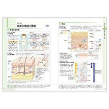 病気がみえる vol.14 皮膚科_画像2