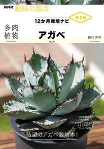 多肉植物 アガベ (NHK趣味の園芸 12か月栽培ナビNEO)