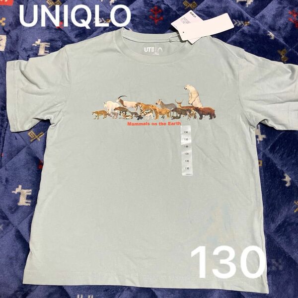 ユニクロ　国立科学博物館Tシャツ 130