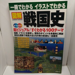 図解 戦国史 ムック 応仁の乱 群雄割拠 信長 秀吉 天下統一 関ヶ原 大阪夏の陣 