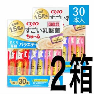 チャオ ちゅーる 猫用 おやつ すごい乳酸菌 まぐろ・海鮮バラエティ [14g×30本] × 2箱 