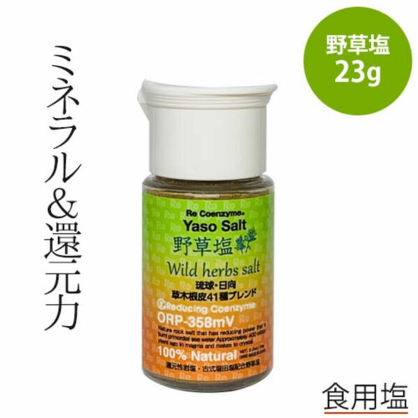 リ・コエンザイム 野草塩 携帯ボトル入り 23g