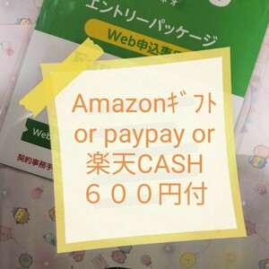 即対応 オマケ付　６００円付（pay/アマ/楽天）マイぴたキャンペーン対応 mineoマイネオエントリーパッケージ　コード　紹介URL 招待 487