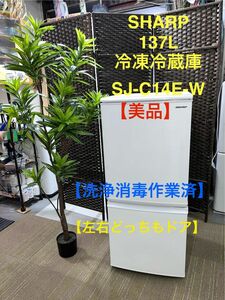 【美品】【洗浄消毒作業済】SHARP 137L 冷凍冷蔵庫　SJ-C14E-W 【地域限定配送無料】