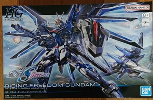 HG 1/144 Rising freedom Gundam 