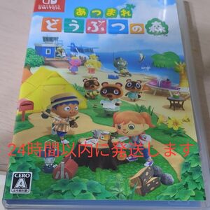 Nintendo Switch あつまれどうぶつの森 ニンテンドースイッチ