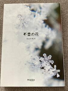 ゴーストハント 同人誌★不香の花★そぞろ歩き様★調査物・ナル麻衣