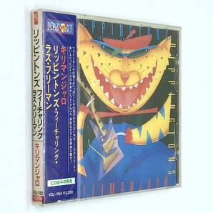 【 未開封 CD 1988年 】KILIMANJARO / THE RIPPINGTONS featuring RUSS FREEMAN リッピントンズ ラス・フリーマン キリマンジャロ VDJ-1153の画像3