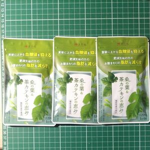 新品未開封　和漢の森　桑の葉 ＆ 茶カテキンの恵み×3点