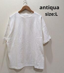 antiqua アンティカ Tシャツ メンズ 半袖 ビッグシルエット バスクT