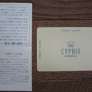CYPRIS(キプリス)morpho 名刺ケース・カードケース 【未使用品】の画像6