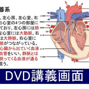 一種衛生管理者 DVD+テキスト+過去問(スマホ学習データ付）の画像6