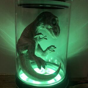 Trexベビー標本フィギュア LEDリモコンにて10色変更可能  ジュラシックパーク 恐竜 標本の画像3