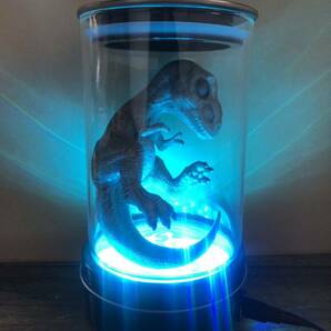 Trexベビー標本フィギュア LEDリモコンにて10色変更可能  ジュラシックパーク 恐竜 標本の画像2
