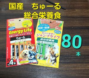 4000円相当！国産いなば　総合栄養食　ちゅーる　合計80本