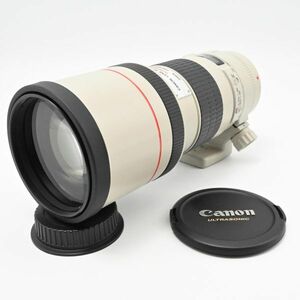 【新品級の極上美品/動作◎】Canon キャノン EF 300mm F4L USM