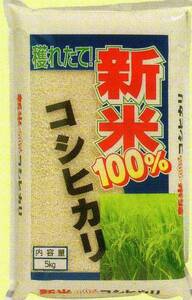 . peace 5 year production Aichi Koshihikari white rice 30kg from white rice 24kg. modification [ free shipping * one etc. quality ]