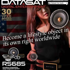 【保証付】【在庫ラスト】DATASAT RS685 ハンドメイドハイエンド2wayスピーカーセット 2wayコンポーネント(17cm ウーファー ツイーター)の画像9