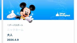 ディズニーランド　4/9 オンライン　ショッピング枠