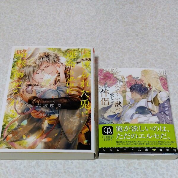 みにくい獣の愛しい伴侶 虐げられた兎は運命の番に略奪溺愛される 2冊セット