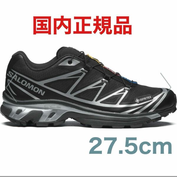 SALOMON XT-6 GTX GORE-TEX "Black/Footwear Silver" サロモン ゴアテックス