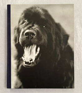 ■1995年 極美品 初版 GENTLE GIANTS A BOOK OF NEWFOUNDLANDS BY Bruce Weber ブルース・ウェバー 絶版