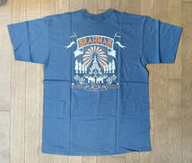 ■2000年代初期 新品 BRAHMAN - THE ORIGINAL ORIENTAL SOUND Tシャツ BLUE - L ブラフマン_画像3