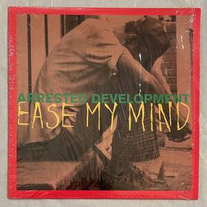 ■1994年 オリジナル US盤 Arrested Development - Ease My Mind 12”EP Y-58157 Chrysalis