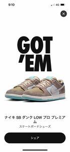 Nike SB Dunk Low Pro 