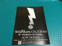 ワイルドハーツ Wildhearts Ginger ジンジャー 来日公演チラシ5種☆即決 2006年来日+2007年来日+2008年来日+2009年来日 JAPAN TOUR_画像9