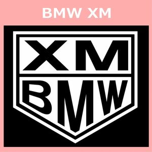 VT1)BMW_XM カッティングステッカー シール