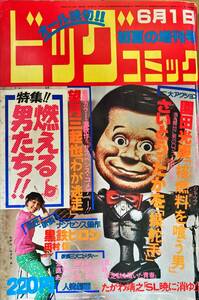 ビッグコミック増刊 昭和52年6月 (1977年) 望月三起也 さいとう・たかを 園田光慶 たがわ靖之 黒鉄ヒロシ 田村信 みずきあい 