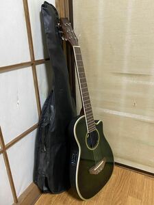 Master Craft マスタークラフト　MT-W アコースティックギター