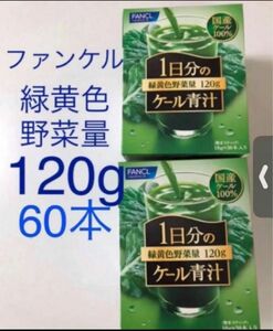 ★2箱　60本　ファンケル　青汁　緑黄色野菜量120g ケール青汁 FANCL