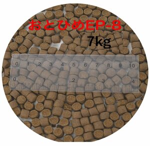  день Kiyoshi круг .. стоимость ....EP8( примерно 6.8mm~ примерно 8.0mm) 7kg(500g×14 пакет )...(. внизу .) золотая рыбка аравановые мясо еда рыба .