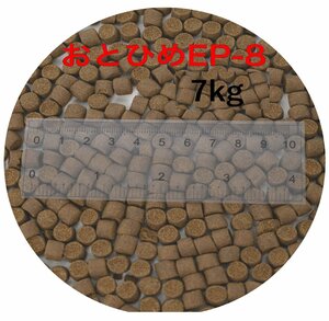 日清丸紅飼料 おとひめEP8(約6.8mm～約8.0mm) 7kg(500g×14袋) 沈降性(沈下性) 金魚 アロワナ 肉食魚に