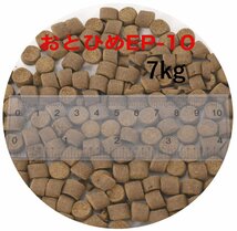 日清丸紅飼料 おとひめEP10(約8.0mm約10.0mm) 7kg(500g×14袋) 沈降性(沈下性) 金魚 アロワナ 肉食魚に_画像1