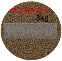 日清丸紅飼料 おとひめEP4(約3.4mm～約4.0mm) 3kg(500g×6袋) 沈降性(沈下性) 金魚 アロワナ 肉食魚に_画像1