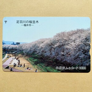 【使用済】 花ふみカード 北陸版 足羽川の桜並木