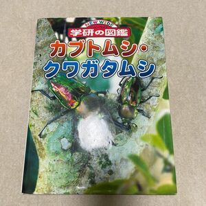 カブトムシクワガタムシ ニューワイド学研の図鑑／岡島秀治