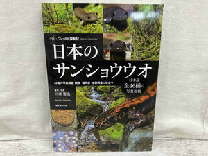 日本のサンショウウオ 川添宣広