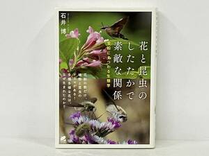 「花と昆虫のしたたかで素敵な関係」 石井博