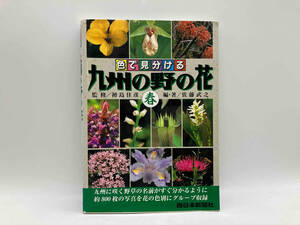 色で見分ける九州の野の花(春) 佐藤武之 西日本新聞社 ★ 店舗受取可